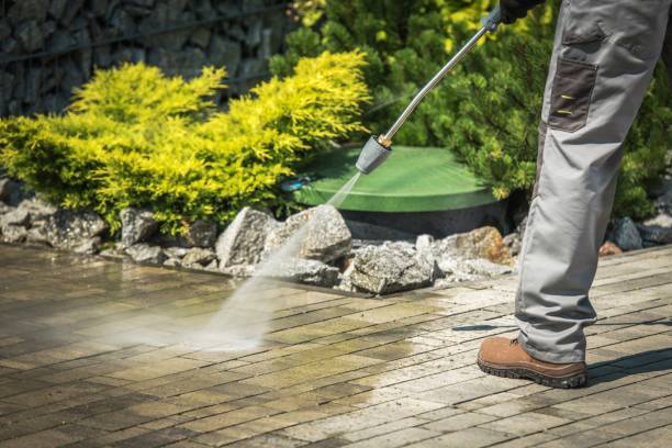 Best Pool Deck Cleaning  in Livingston, TX