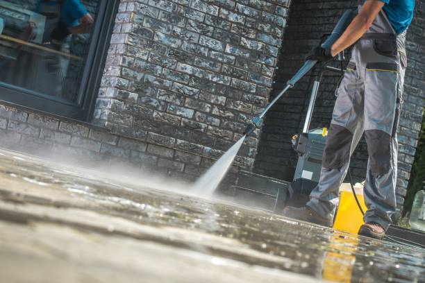 Animal Enclosure Cleaning in Livingston, TX